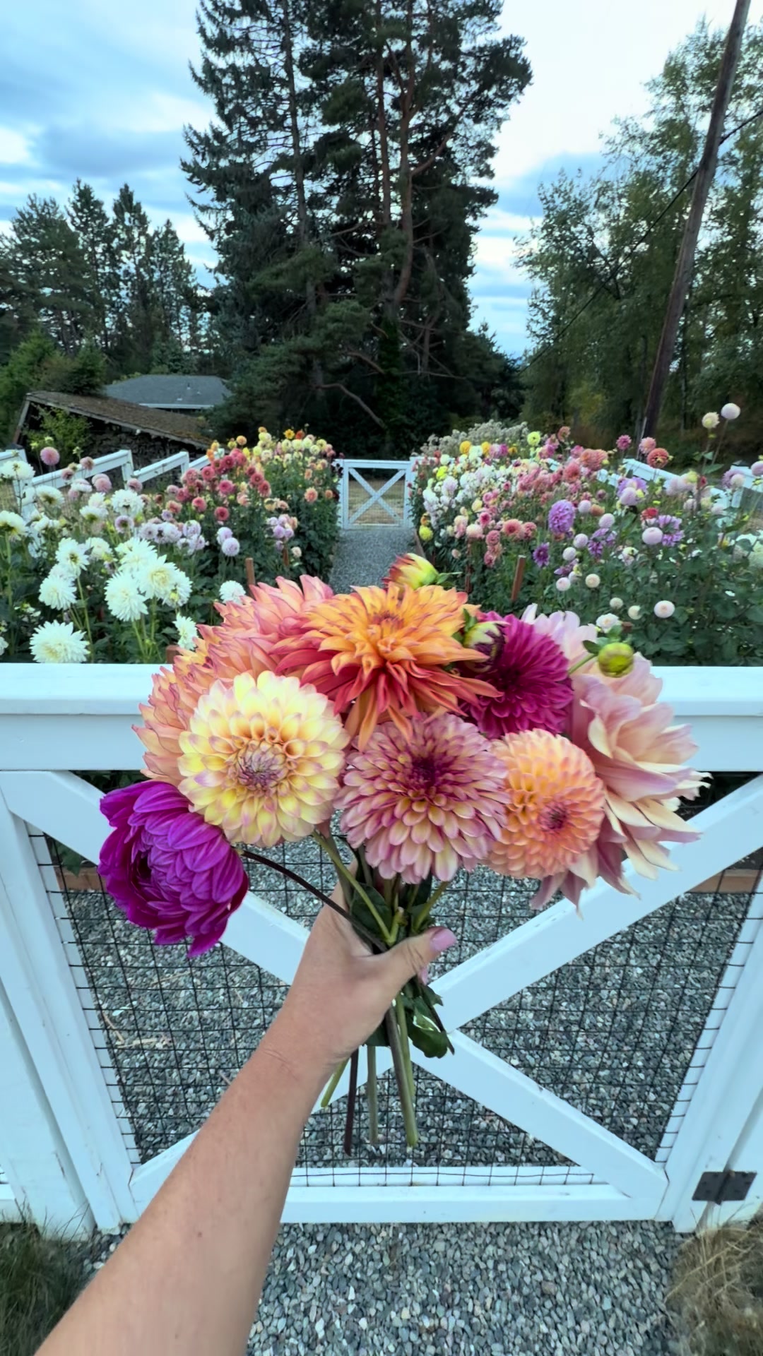 @Only The Pretty Petals