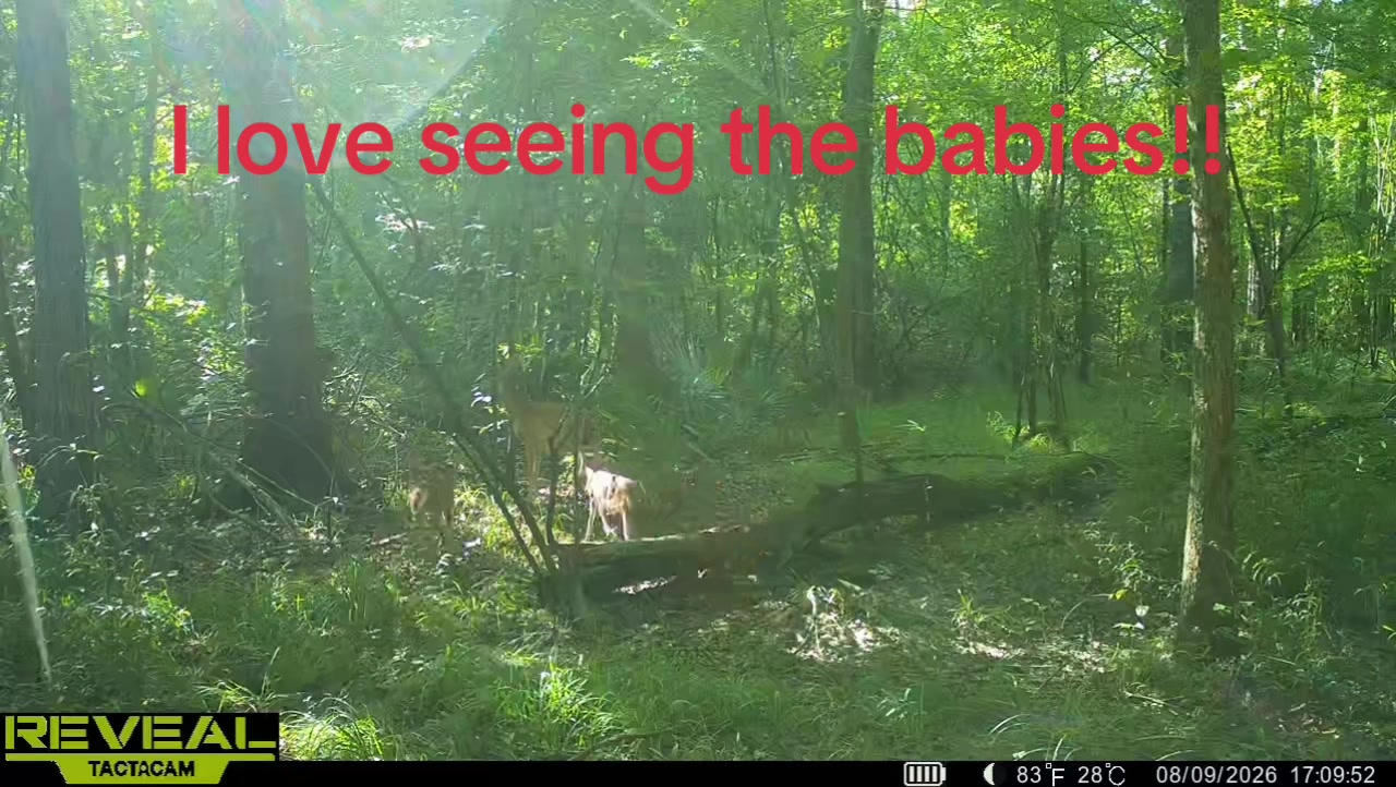 @Toi Batton_GIGI_WTBuckOutdoors