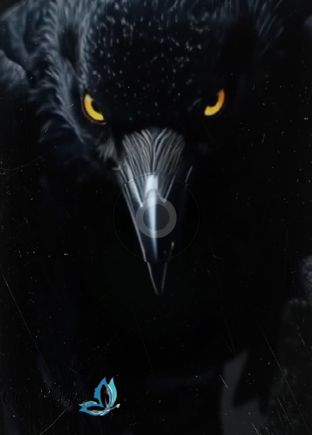 @𝐂𝐀𝐑𝐎𝐋𝐘𝐍  CC