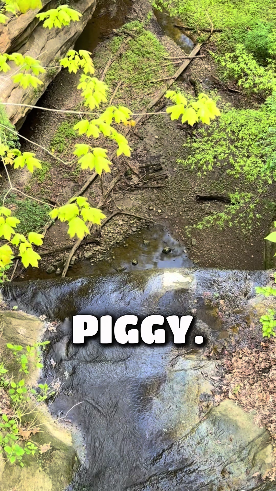 @Starved Rock State Park