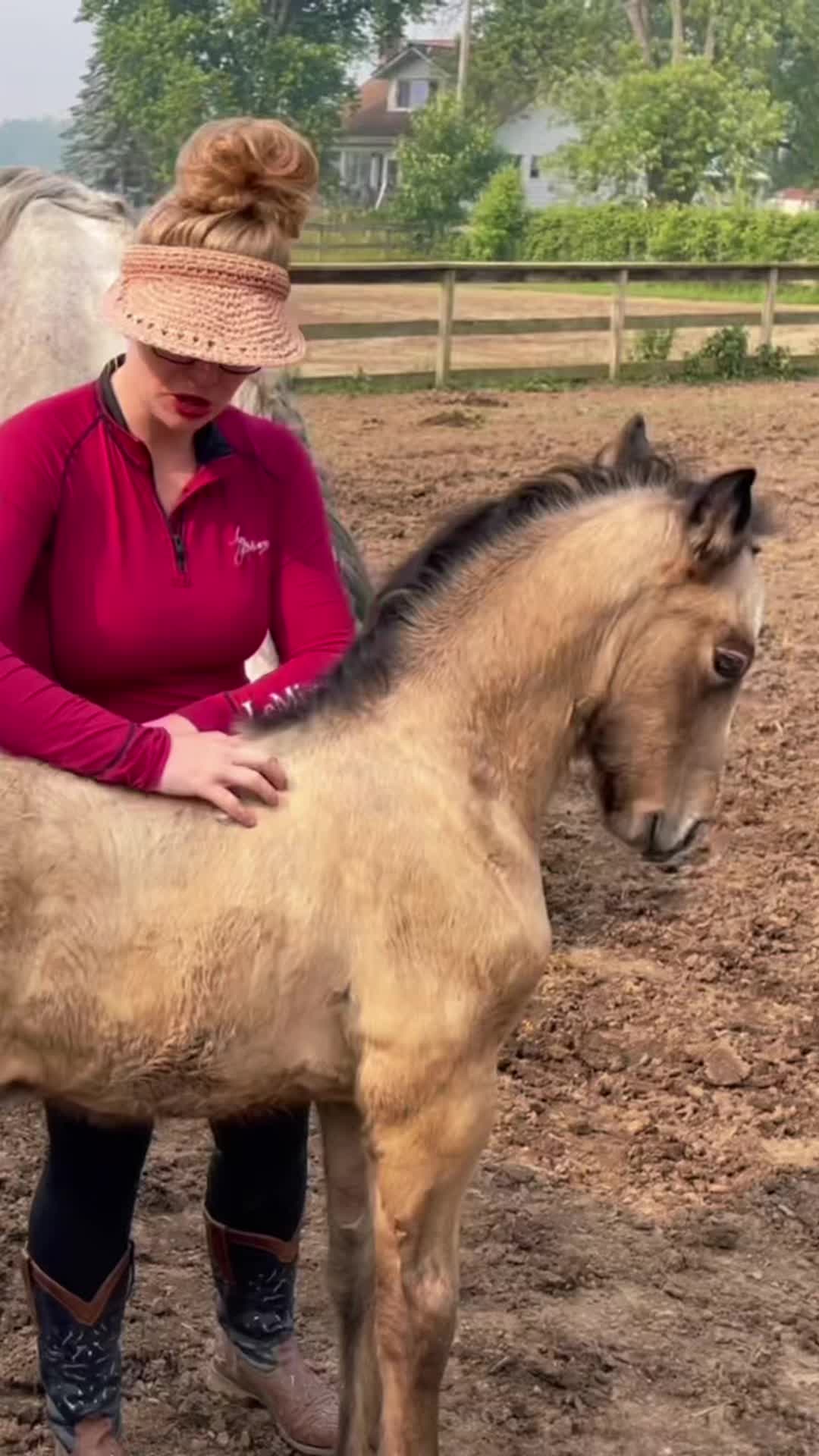 @Free Spirit Equestrian