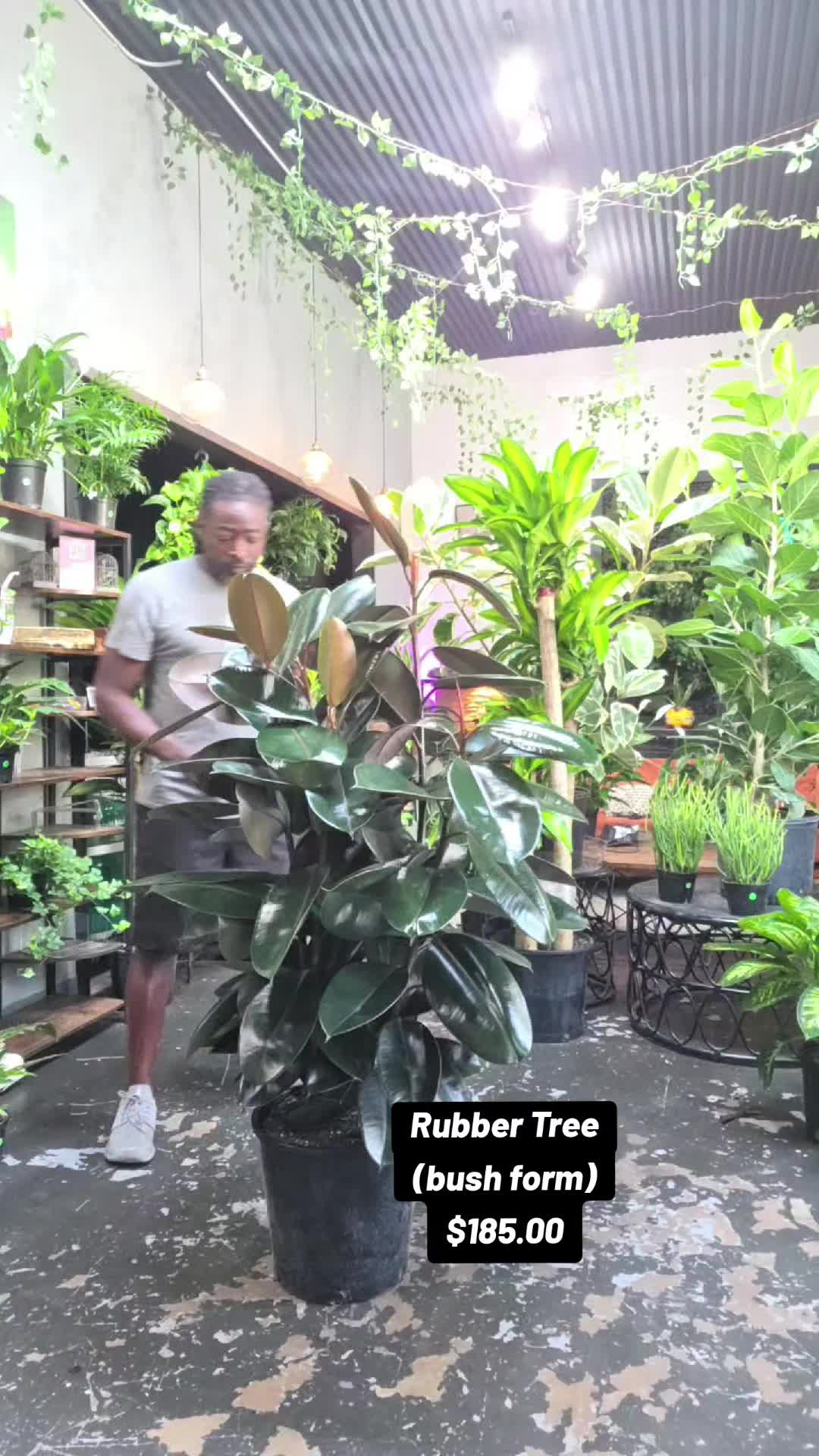 @energygardens