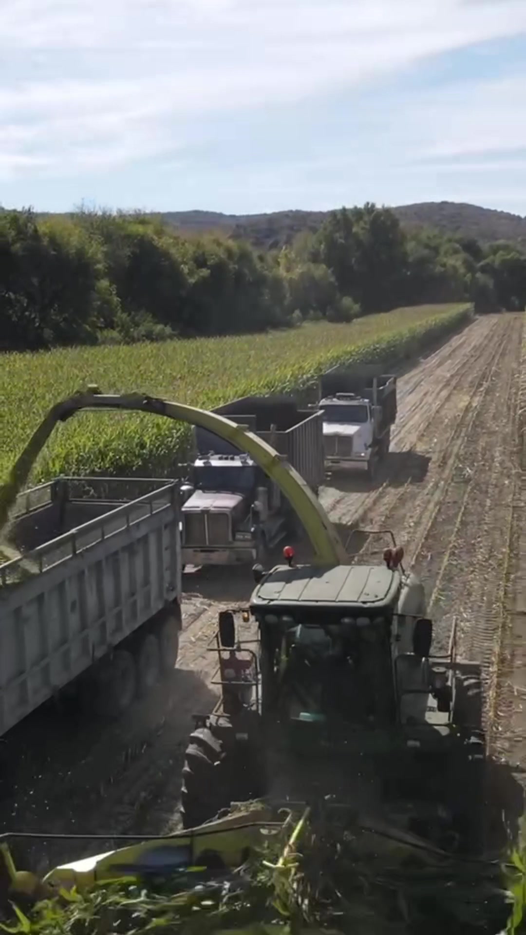 @802 farmers