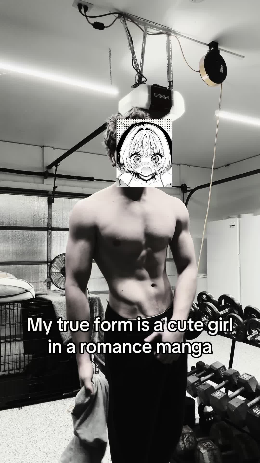 @fullmetalALC