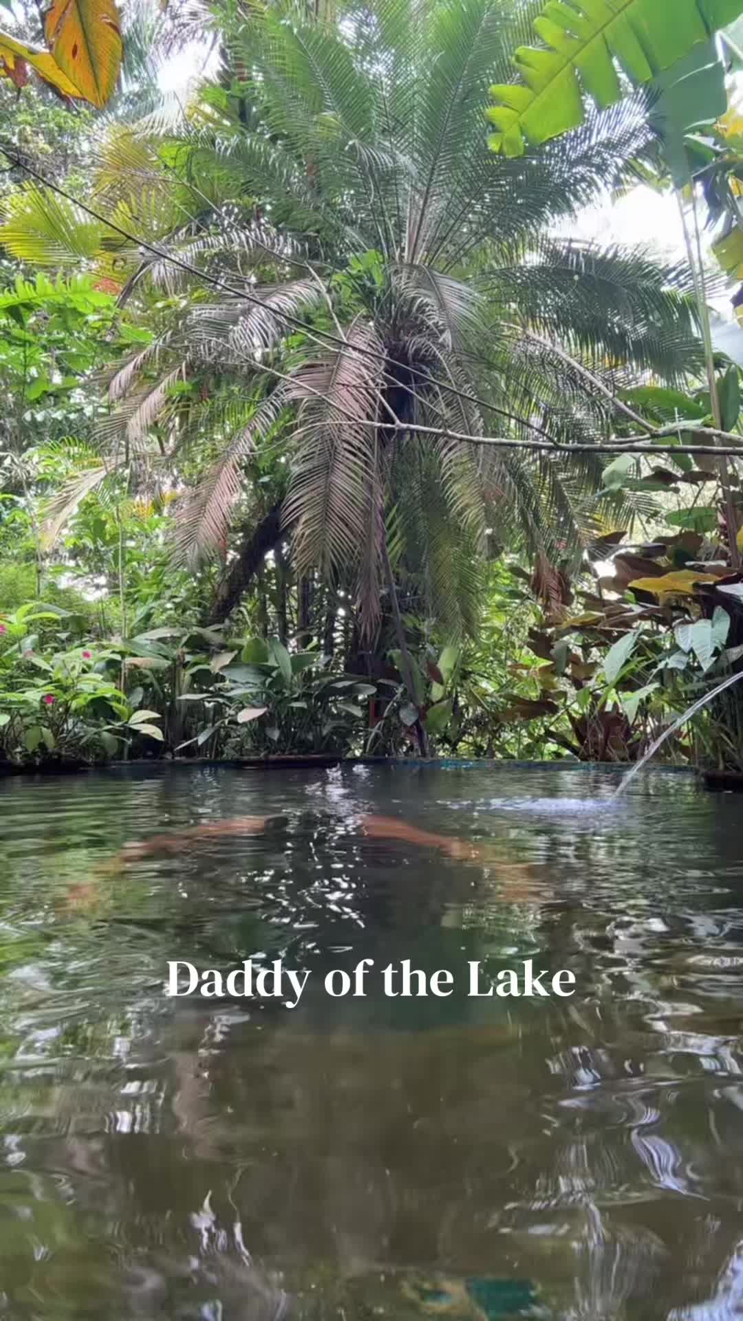@Stocky KL