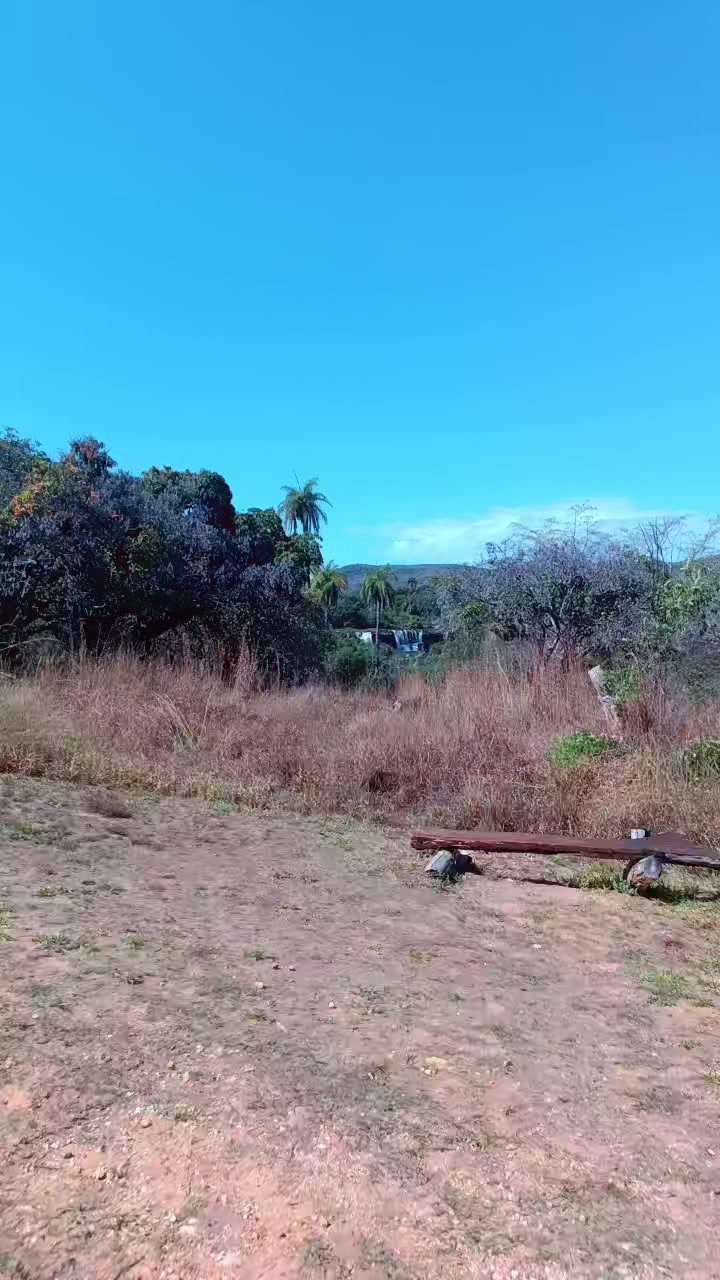 @Livinha_1705