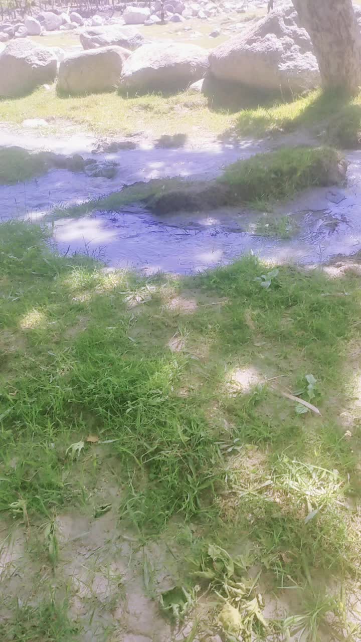 @almaskotwal46🇦🇫