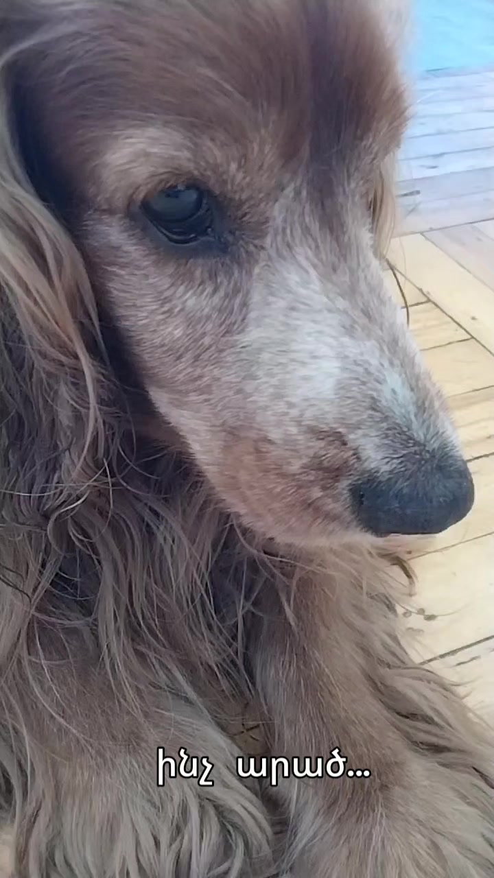 @Артур