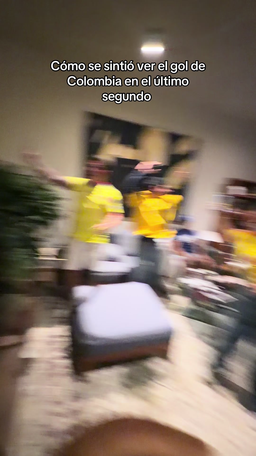 @damir🕷️