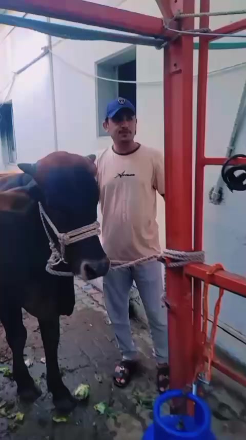 @ℕ𝕒𝕧𝕚𝕕𝕜𝕙𝕒𝕟𝕌𝕒𝕖
