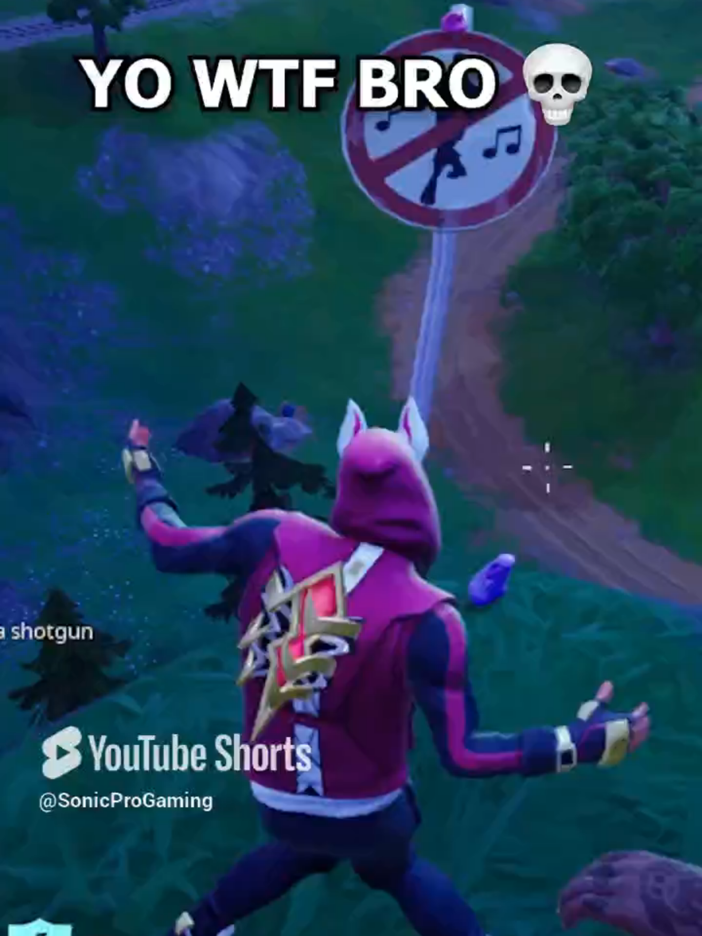 @SonicProGaming