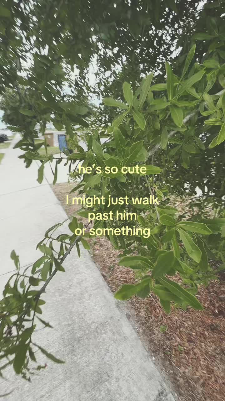 @𝒶.