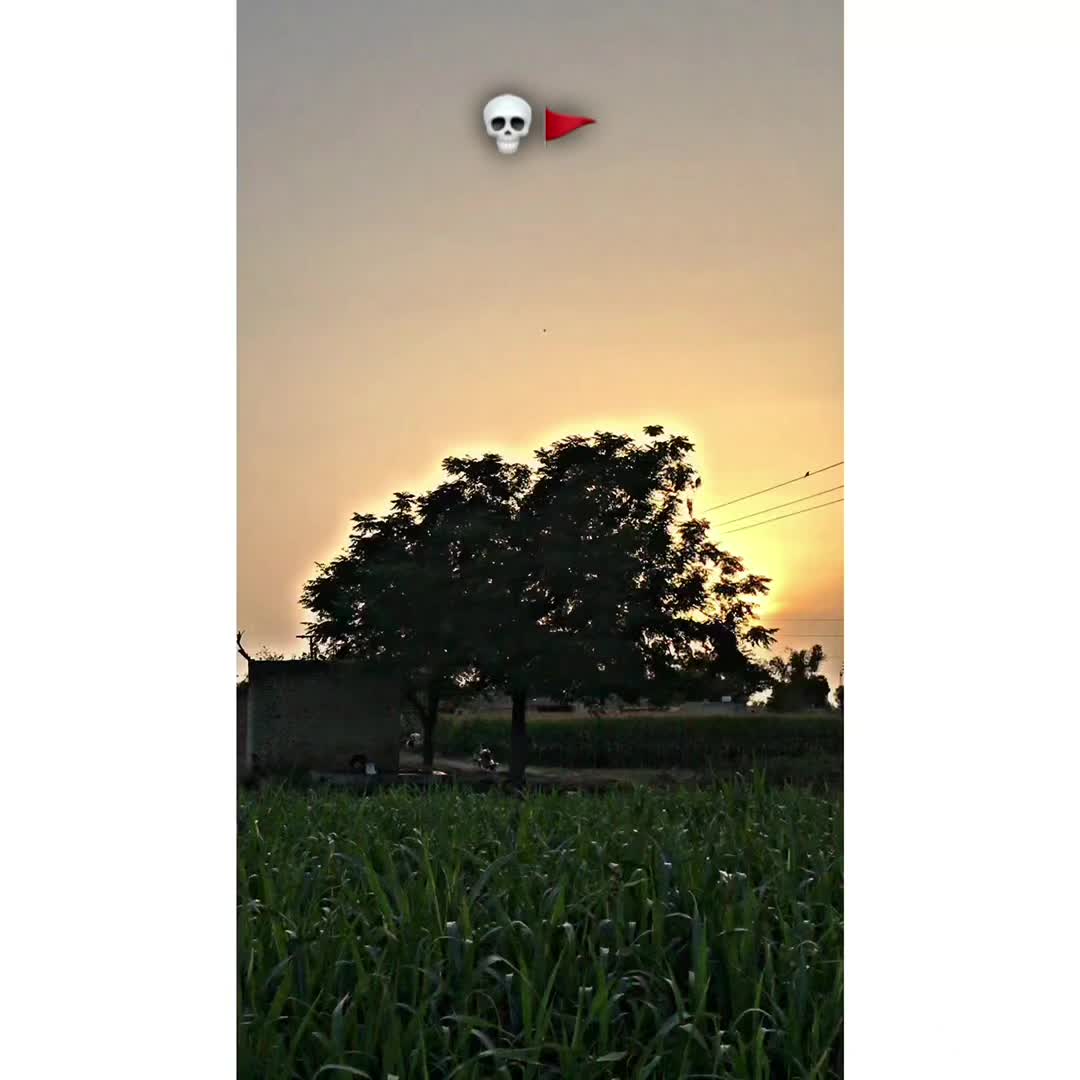 @• Choudحry•