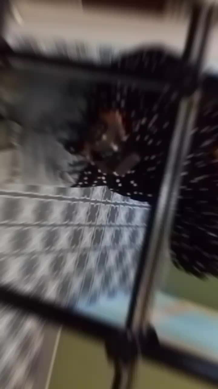 @𝓗𝓮𝓬𝓮𝓻