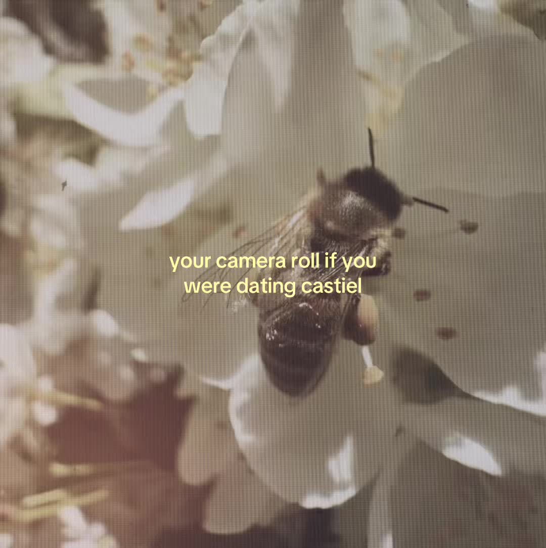 @✮⋆ ˙ angel ˙⋆✮