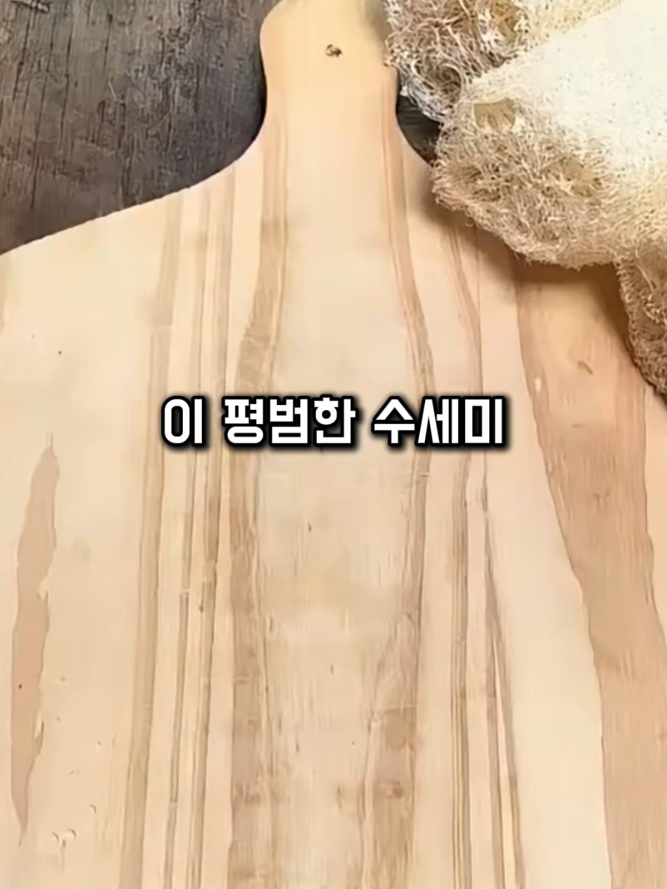 @쇼스코