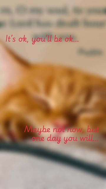 @🐱w!ne 🪺