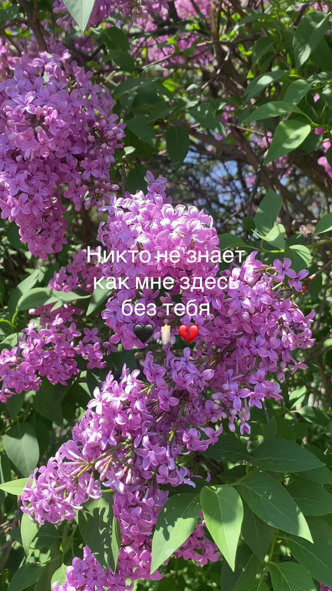 @Явсесама
