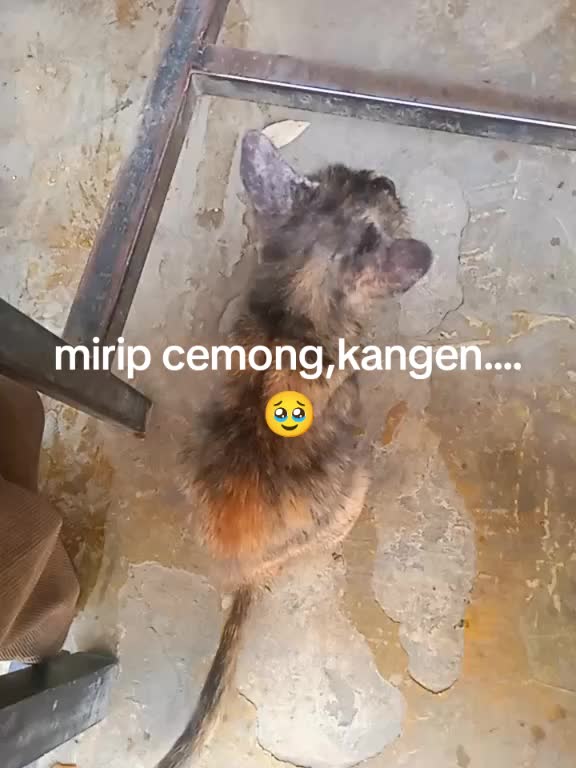 @D,Mommy gue