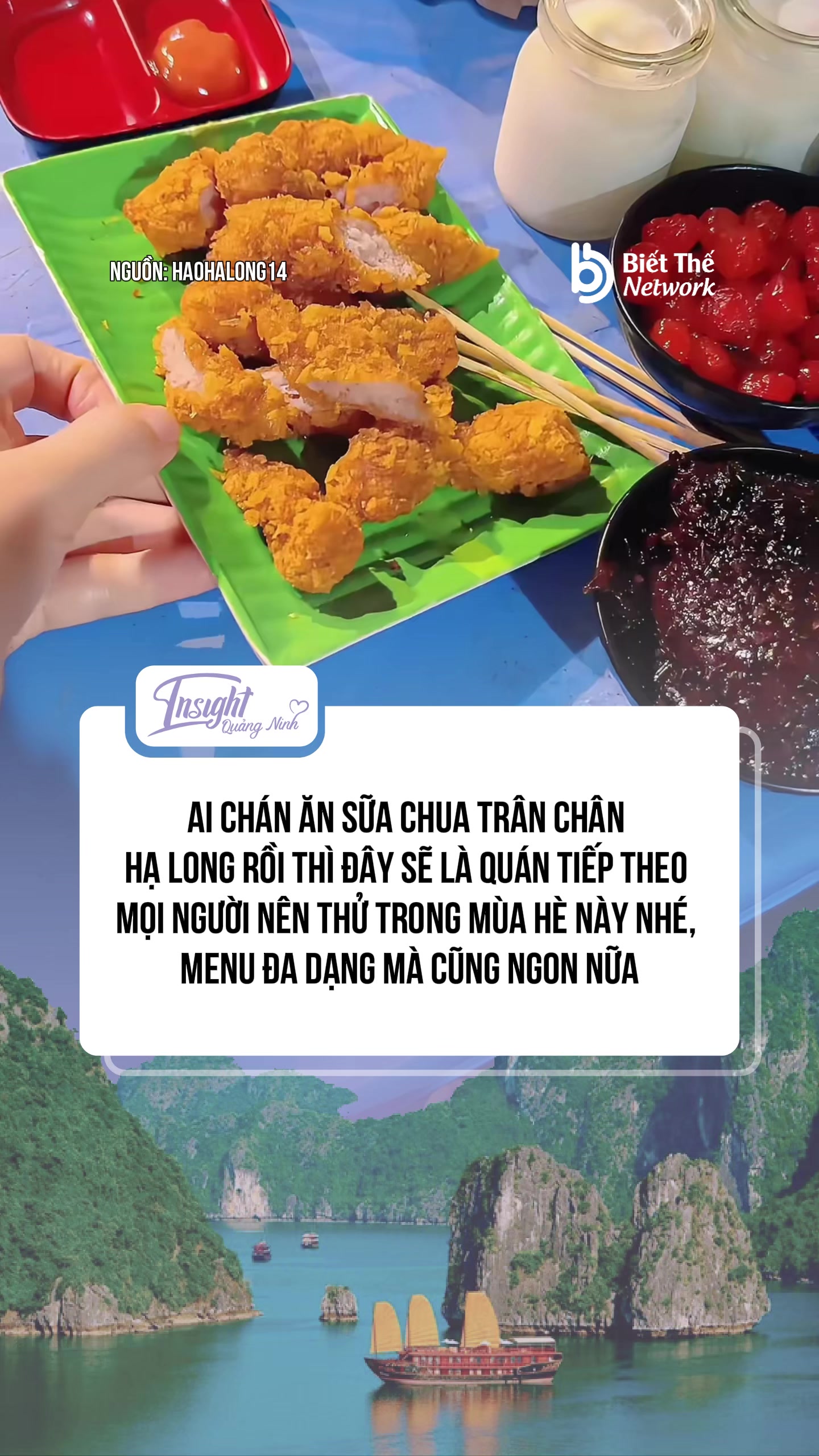 @Insight Quảng Ninh