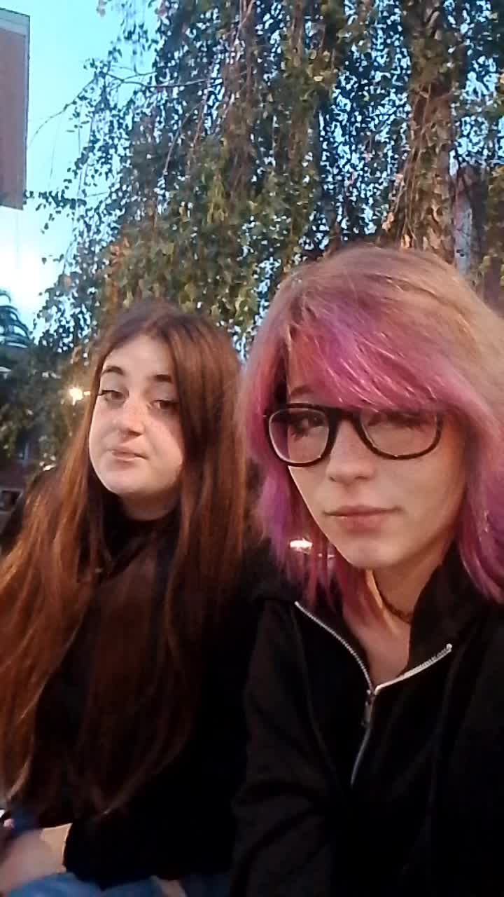 @the_last_meow