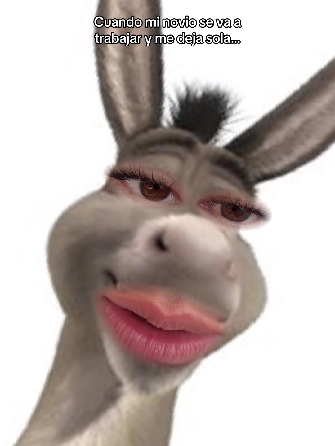 @Marguz
