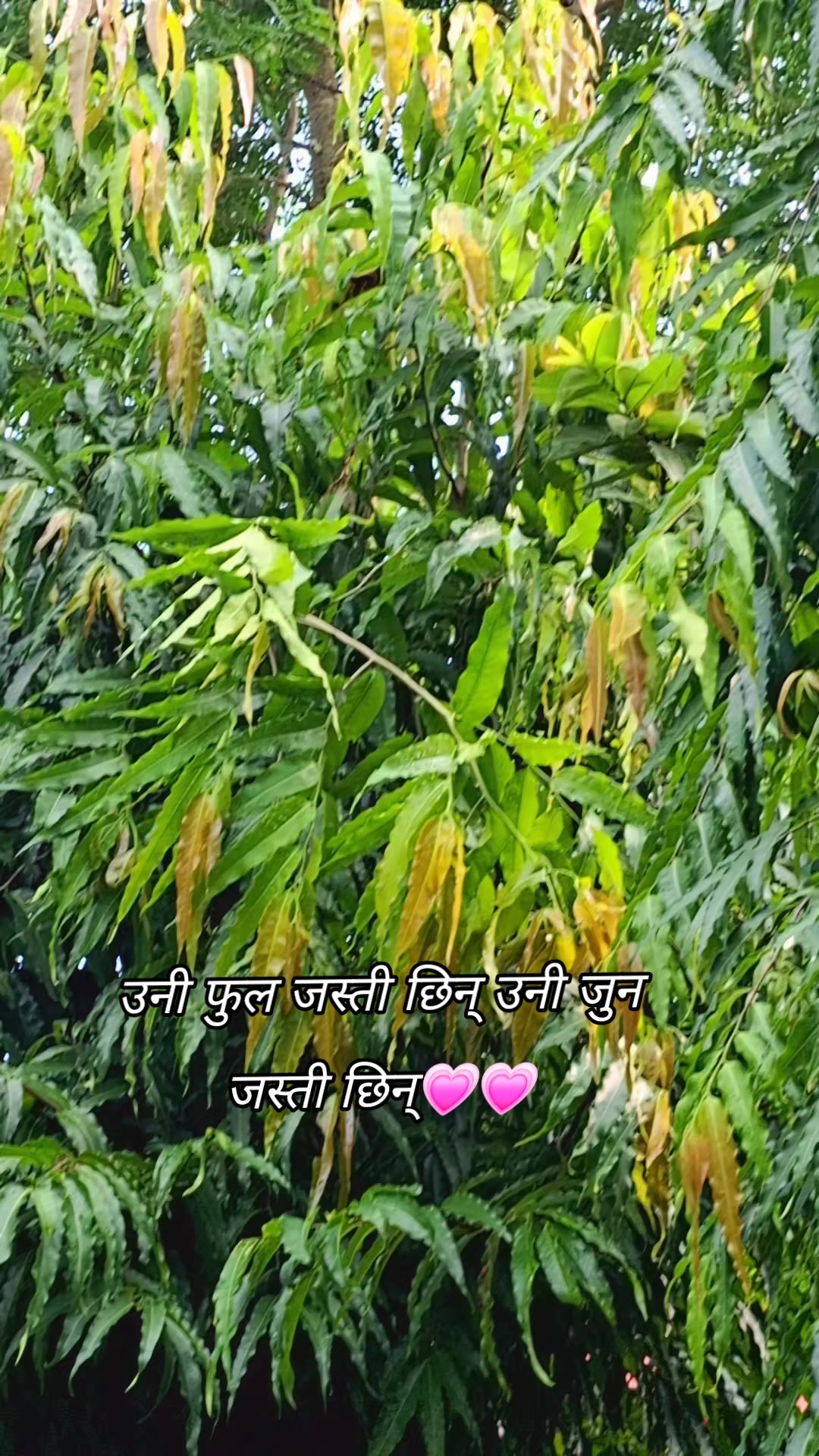 @Rahul✨🥀