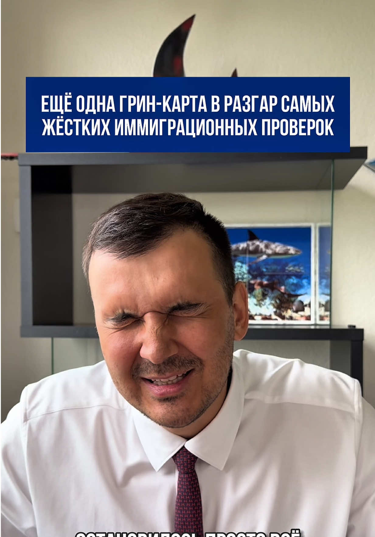 @Михаил Арсентьев