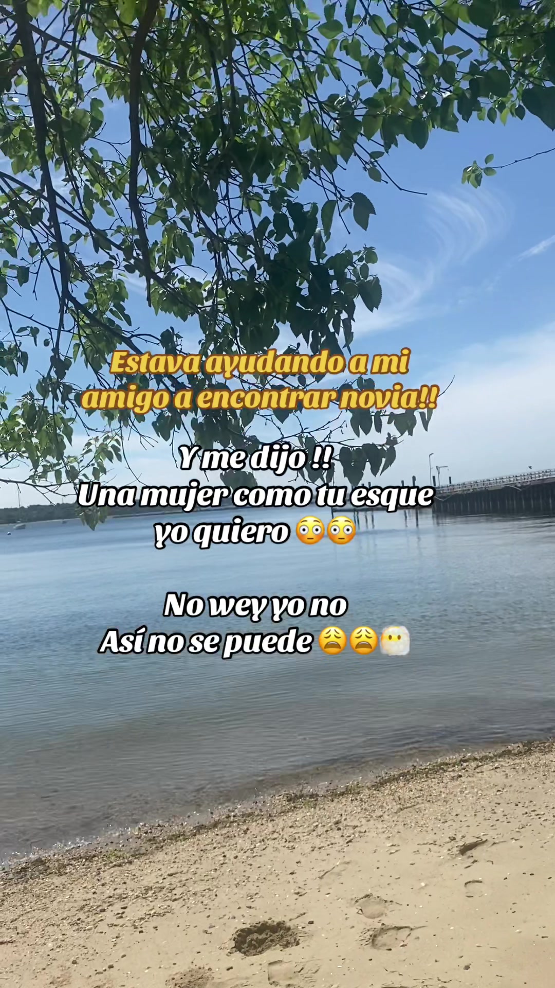 @💛Bonita_Girasol91