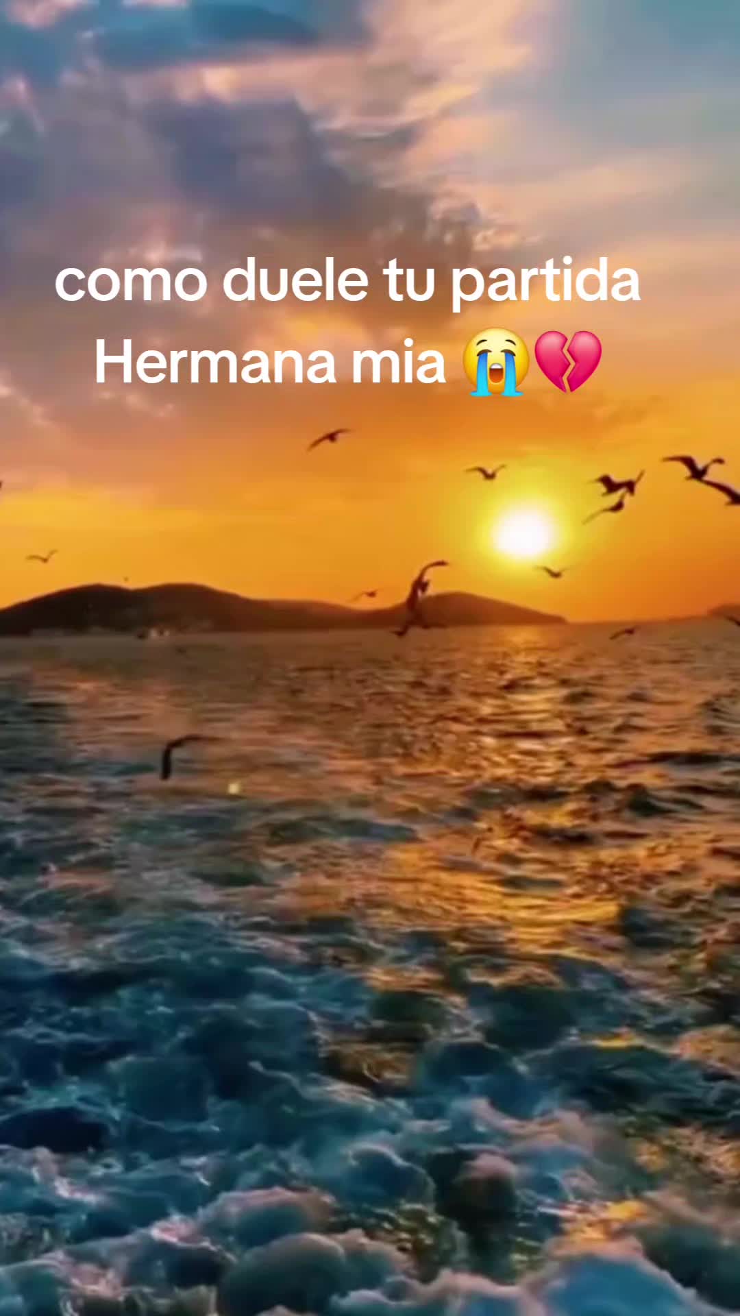 @MariaEugenia 🌻👑🦋⛺️