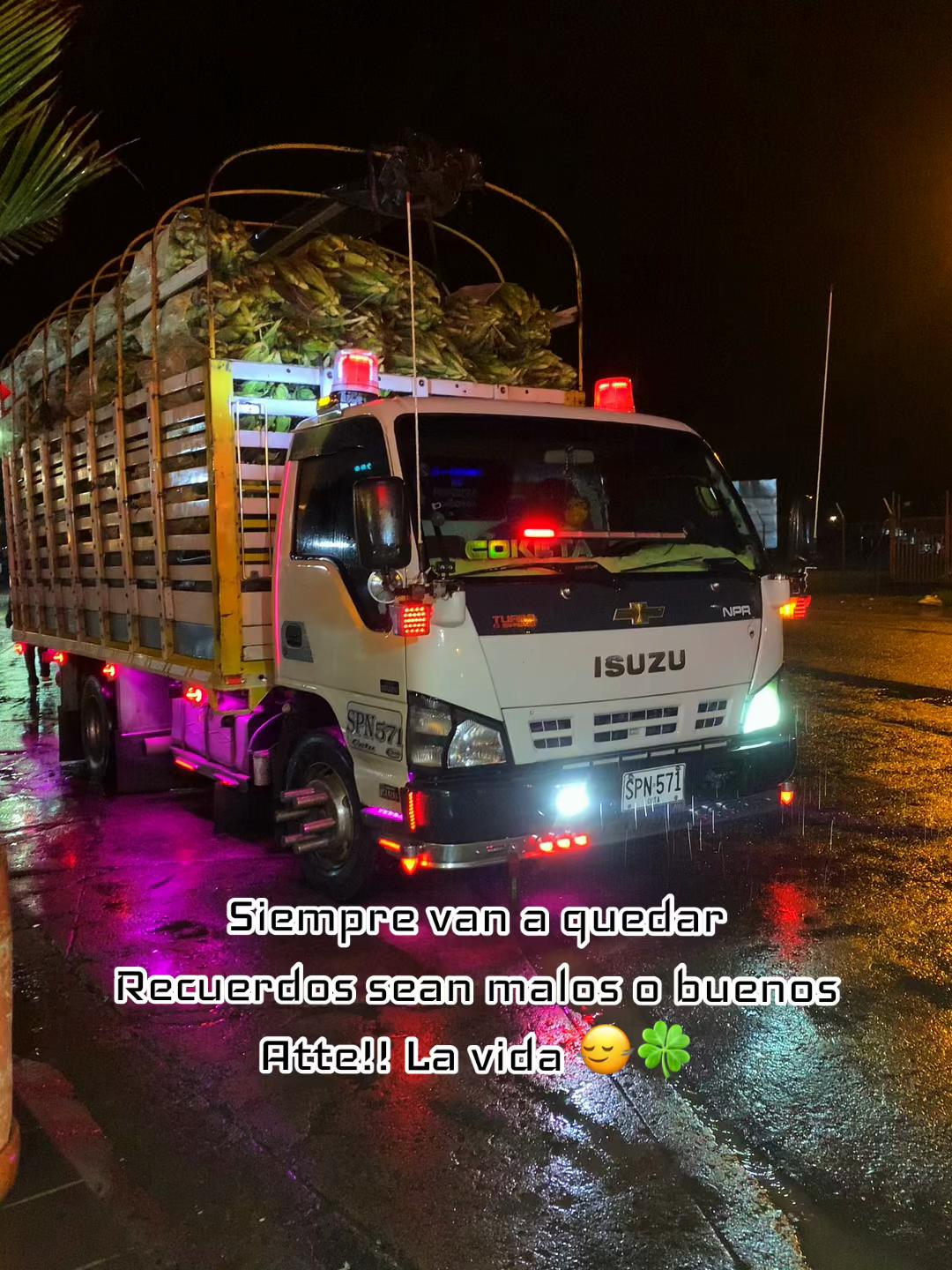 @SNEIDER 🚛🫀