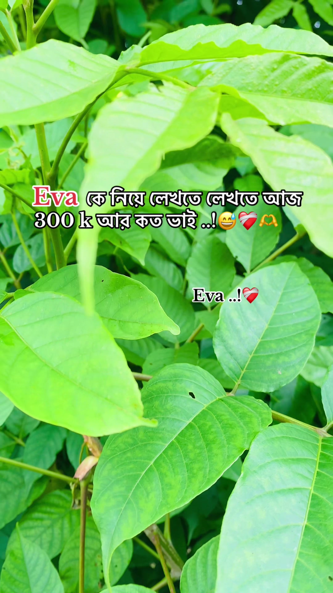 @Ashik