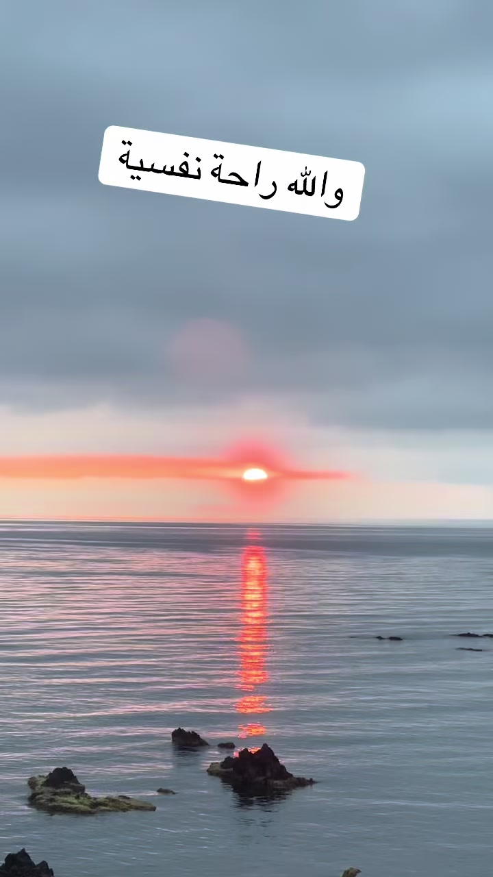 @ilyass D.S