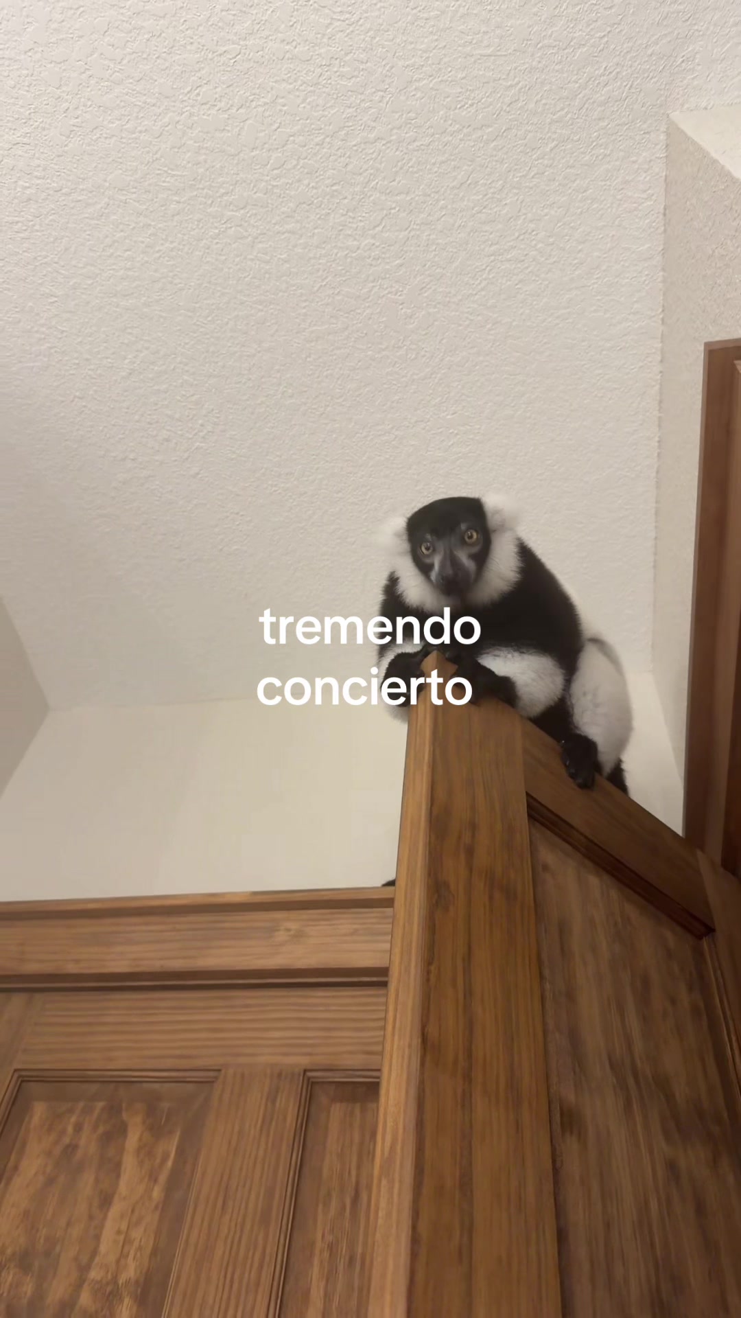 @Jamieee