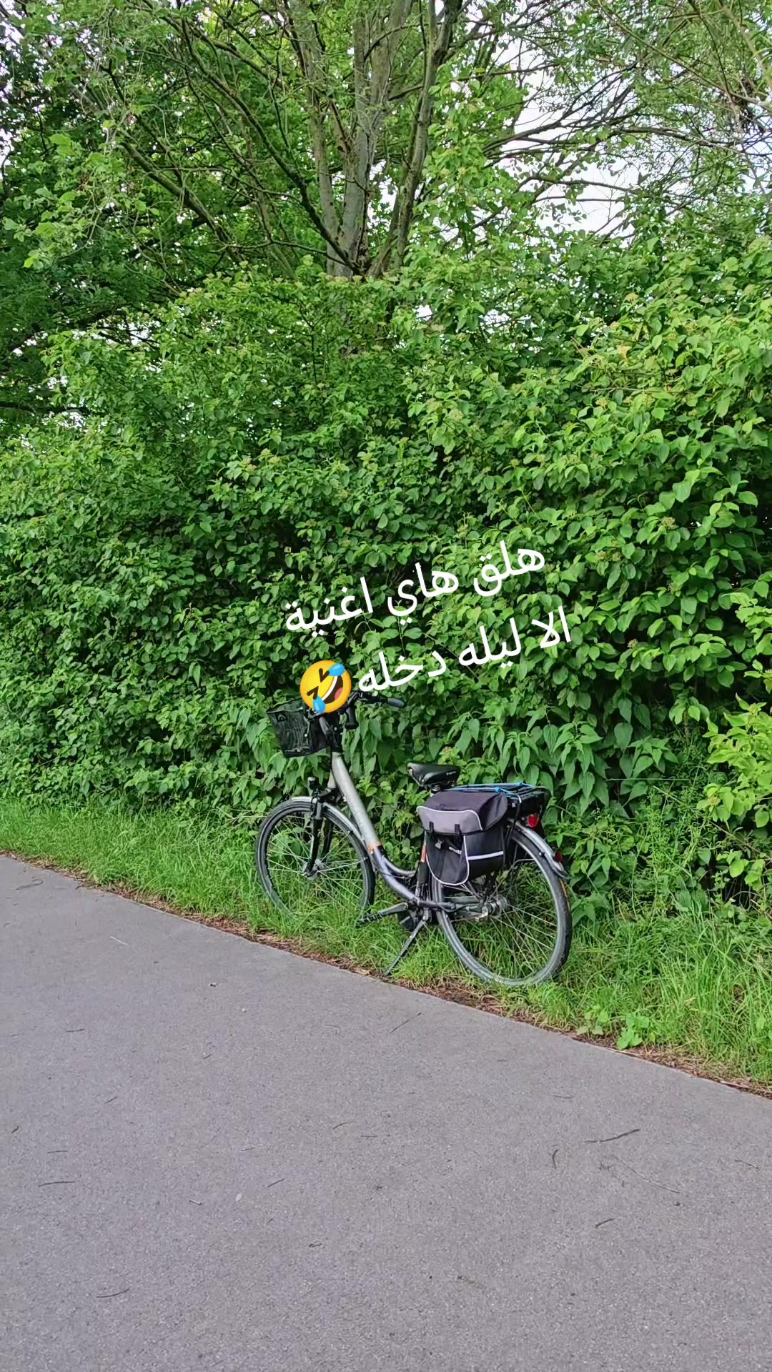 @Osama🇩🇪