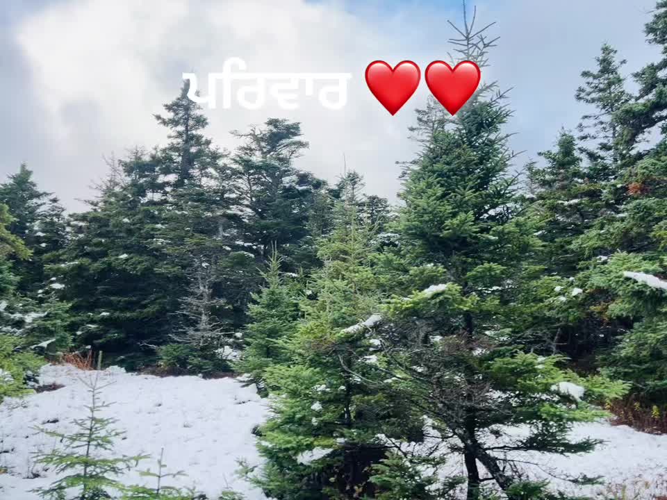 @Sukhpal 😊