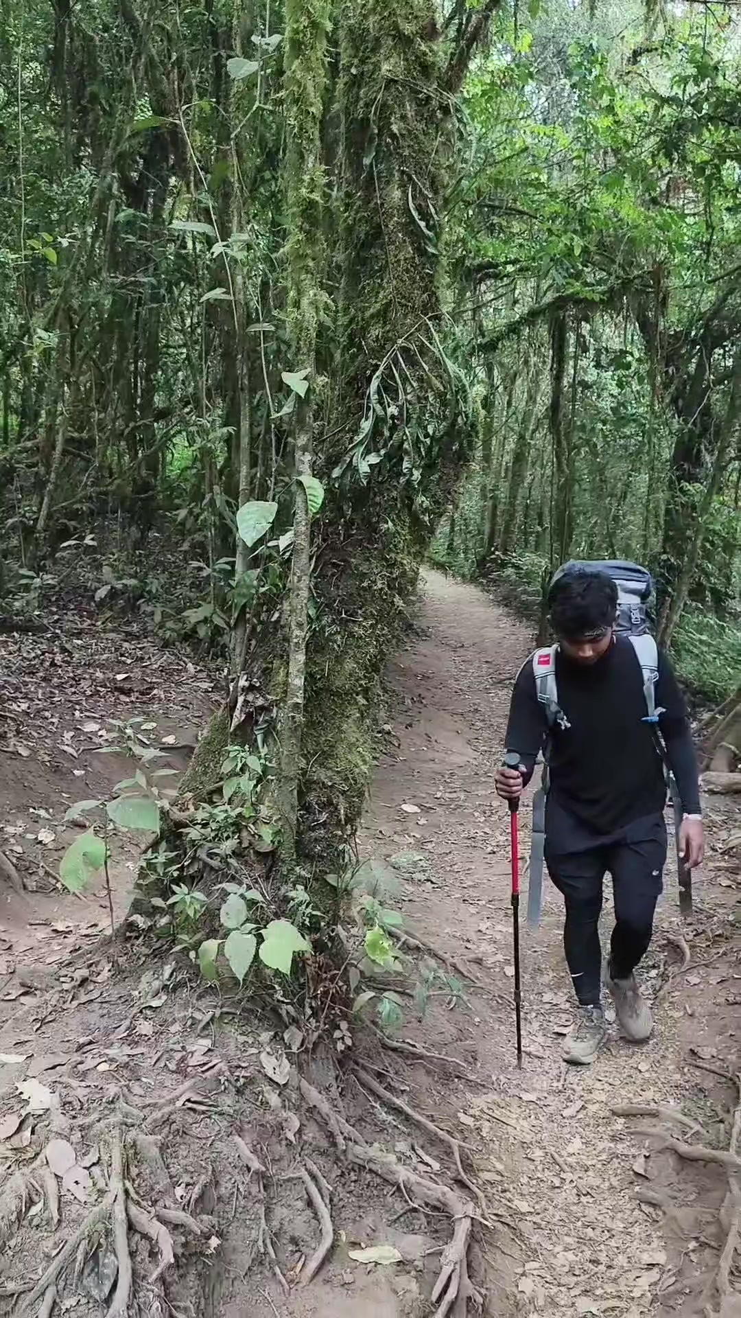 @_19