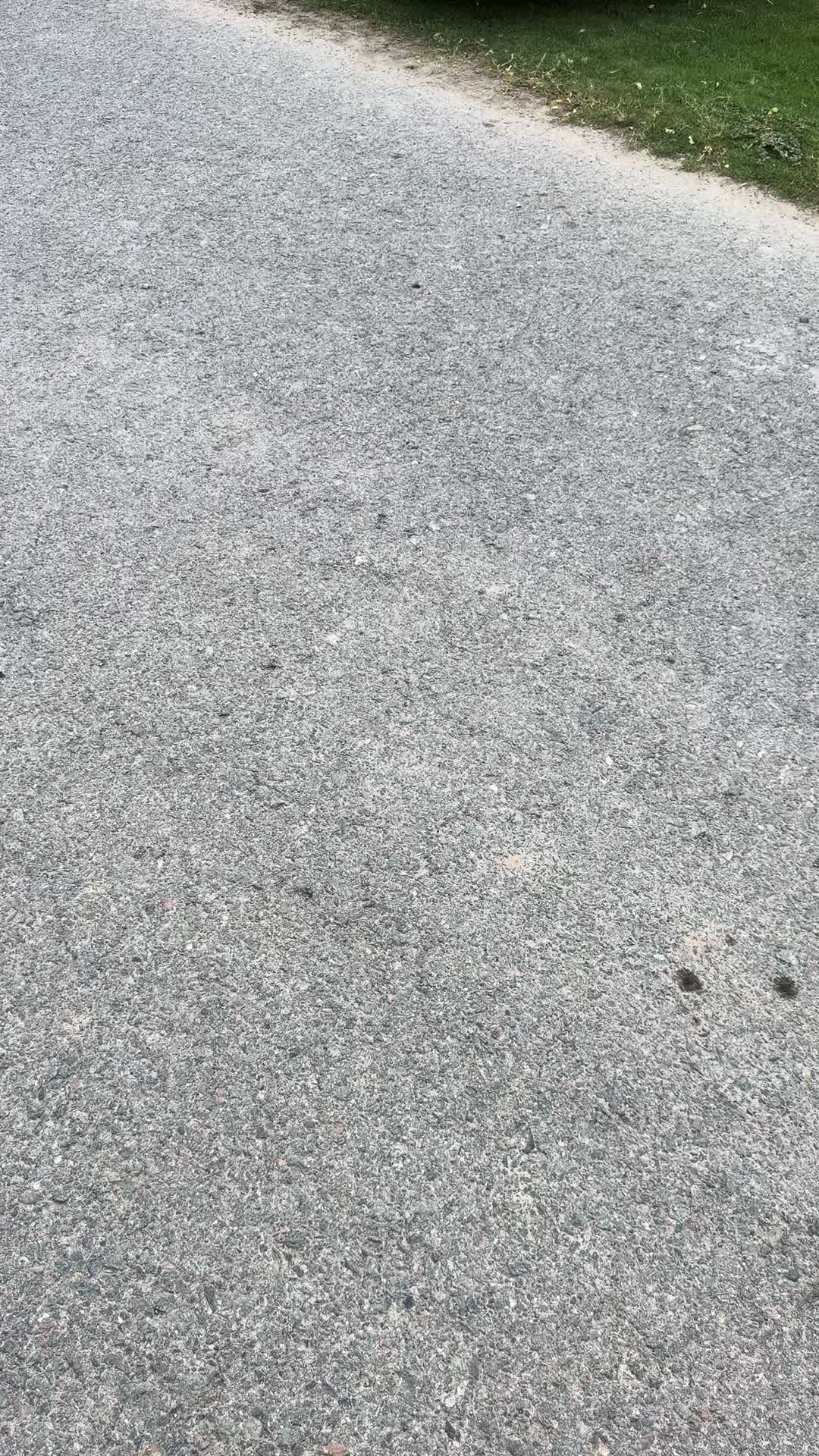 @AB🚩