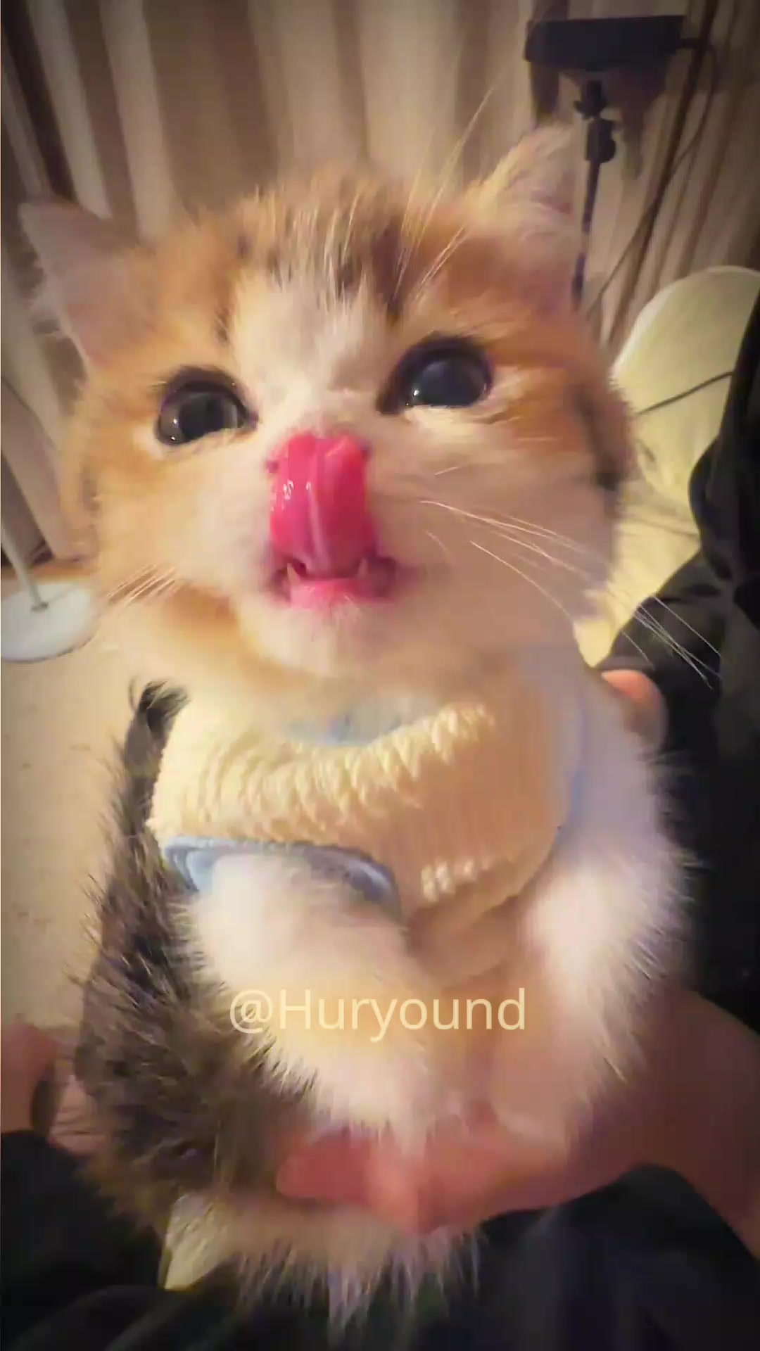 @Hu R yound