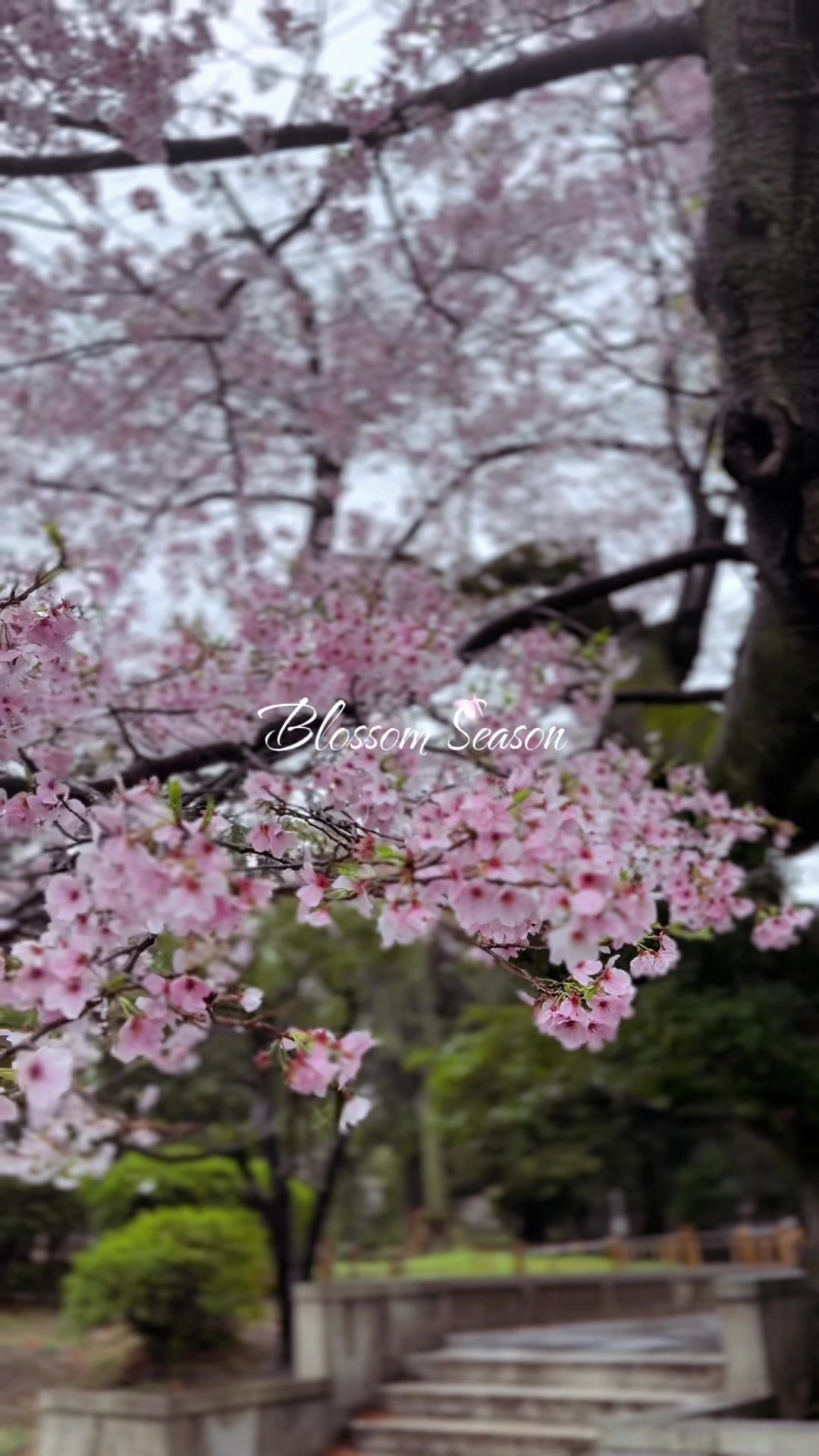 @Kavin Madhushanka 🇯🇵
