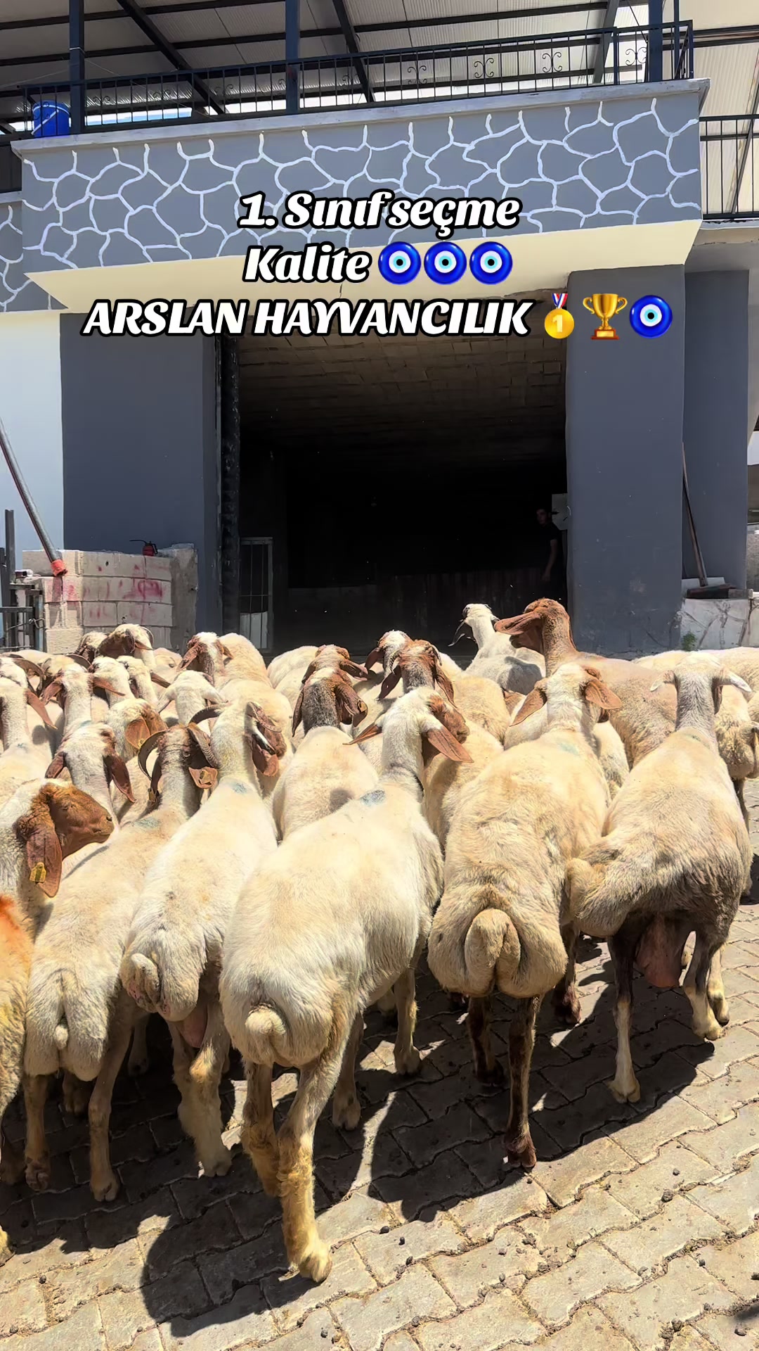 @cuma_arslan027