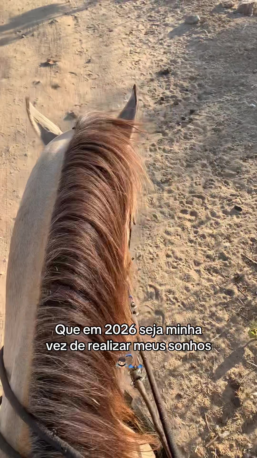 @felipe_linhares