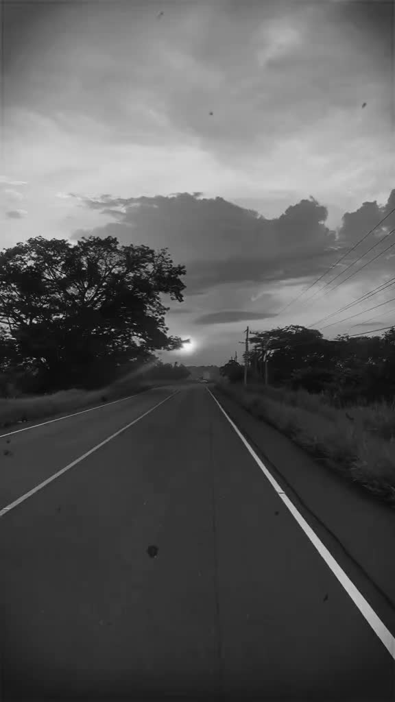@☆ - Fools 😶🌫️ Diary - ☆