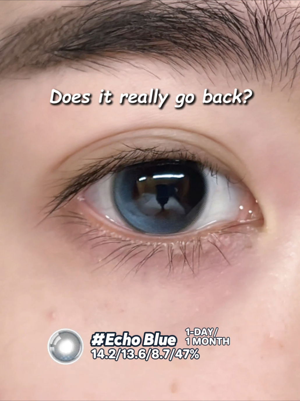 @sigocontacts_official
