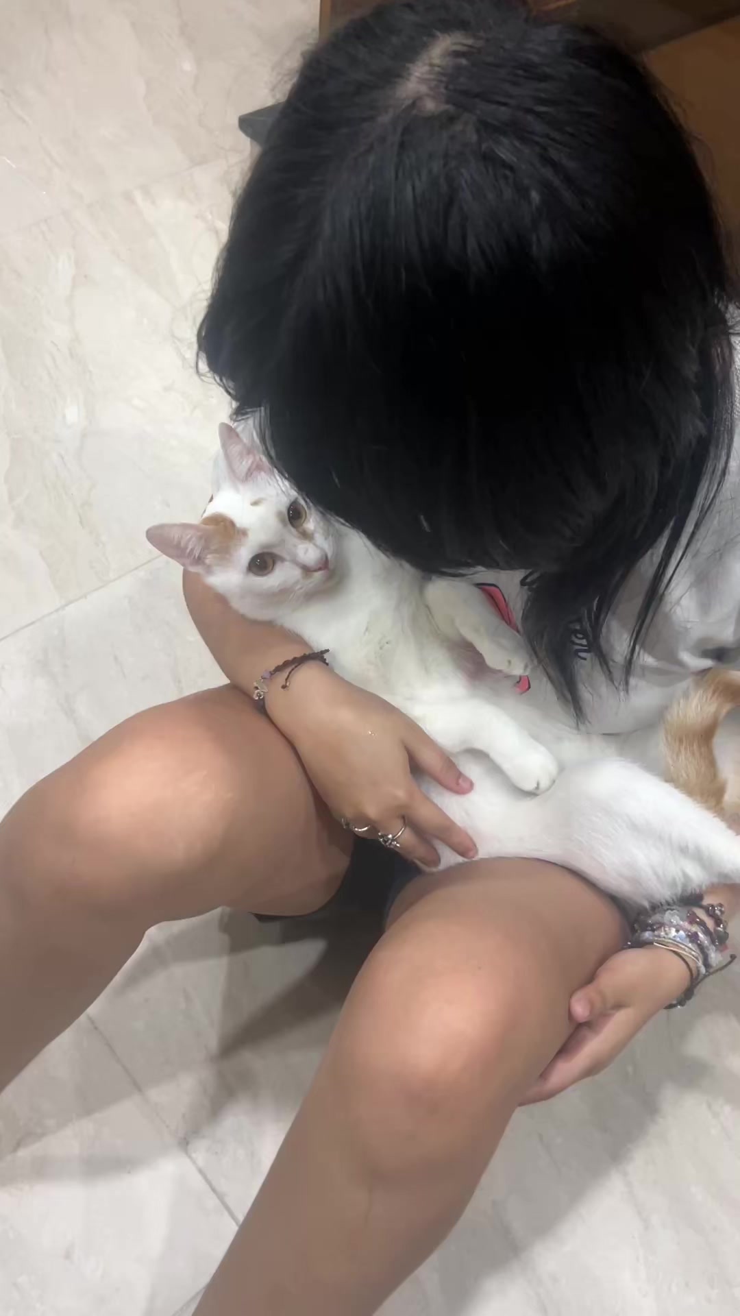 @hazel ★✮꩜⋆