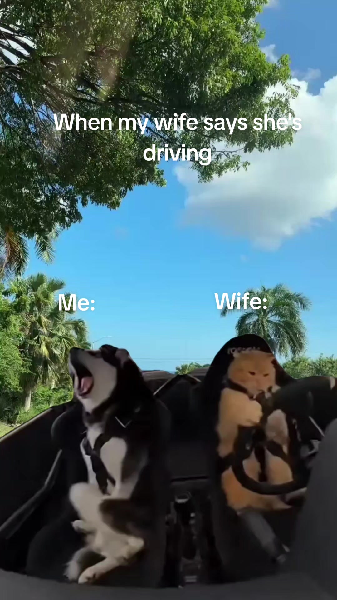 @The_Sheriff