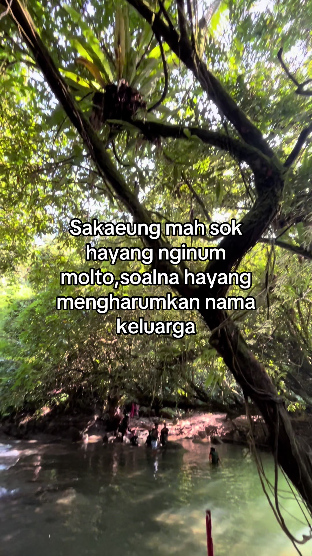 @Citumang wonderful