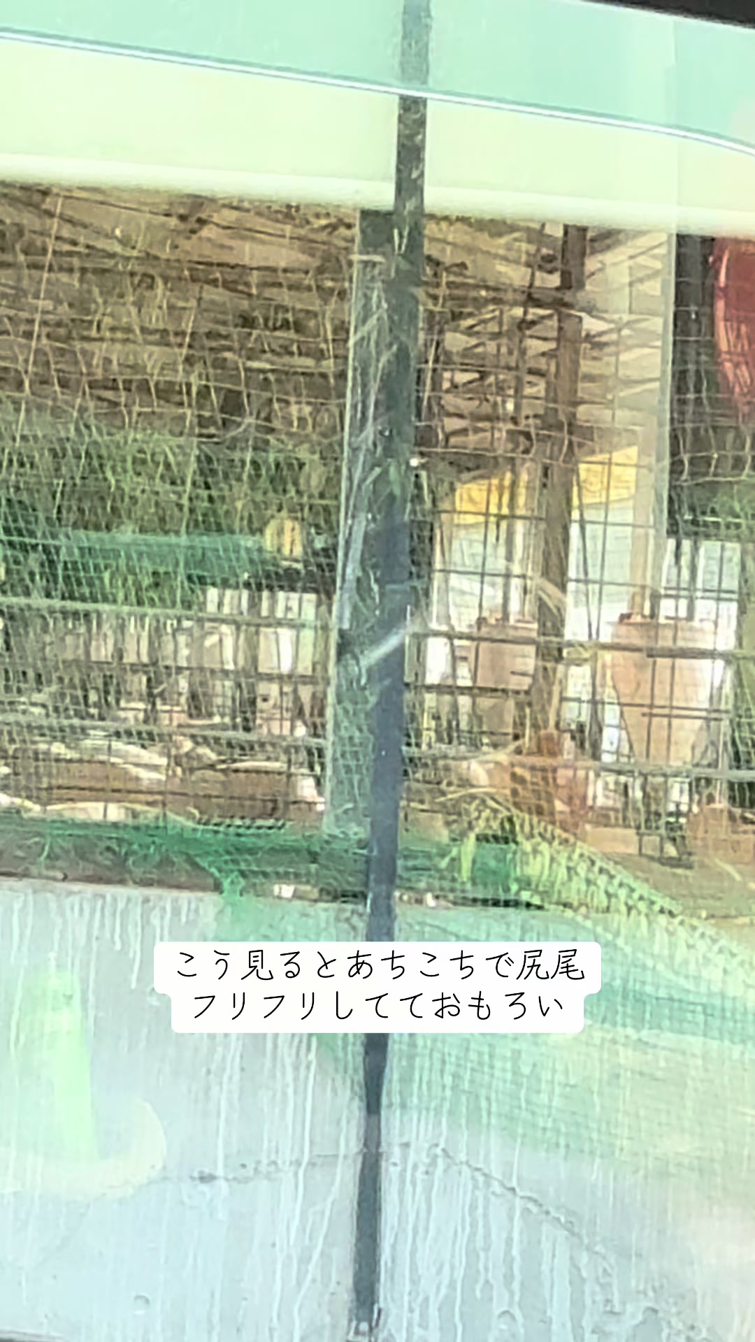 @とおる