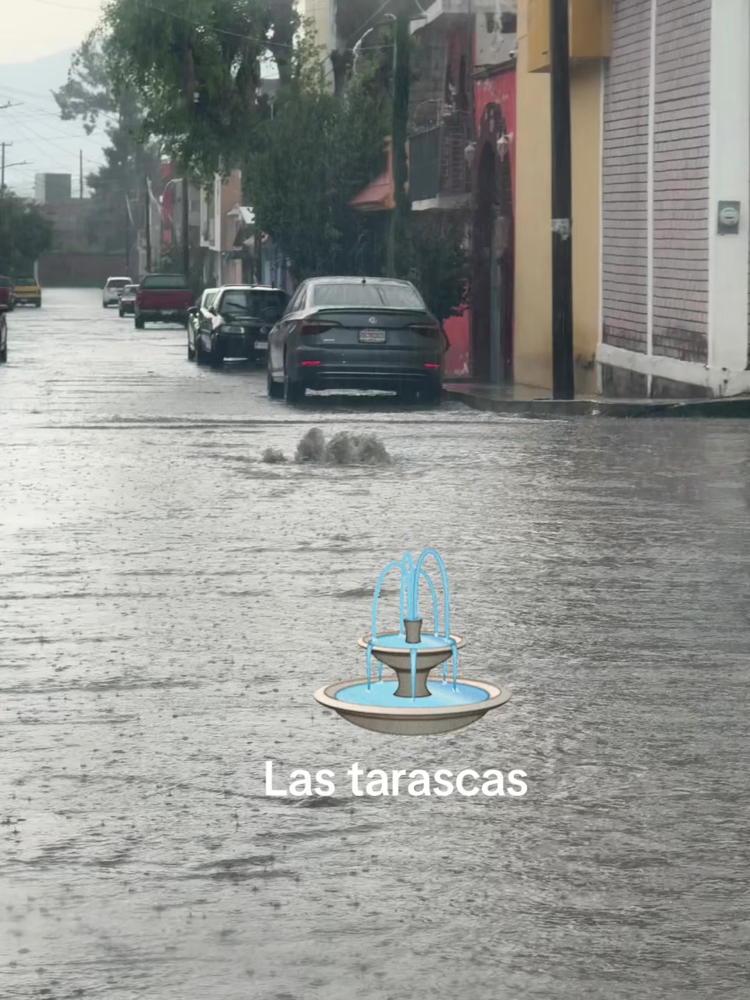 @Rigo Hern&aacute;ndez