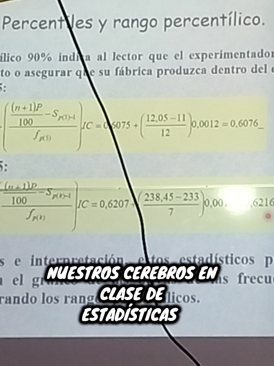 @Sara Isabel Solano